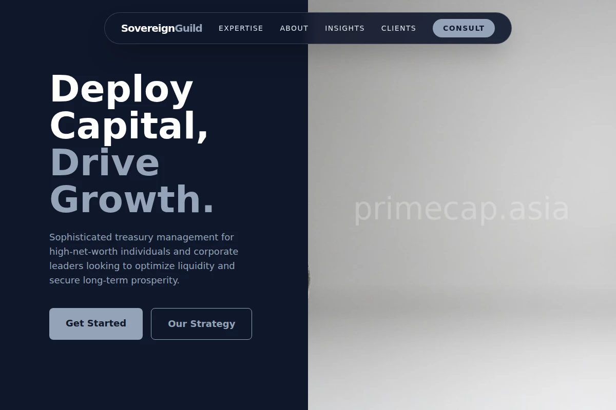 Treasury Investment Advisor